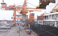 Việt Nam - Nhật Bản hợp tác vì hòa bình và phát triển