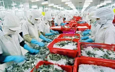 Doanh nghiệp xuất khẩu ký được hợp đồng, giá tôm tăng trở lại
