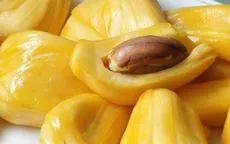 Chia sẻ kinh nghiệm nhận biết mít chín cây