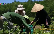 Công chiếu bộ phim “Hành trình bất tận” tại Mỹ