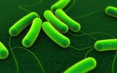 Mỹ: Đã có người tử vong trong đợt dịch bệnh do E.coli bùng phát