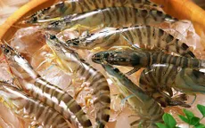 Bí quyết bỏ túi chọn tôm ngon cho bữa ăn gia đình