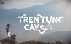 Trên từng cây số: Dân mê chụp ảnh không thể bỏ qua
