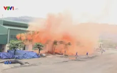 Phát động tháng hành động an toàn, vệ sinh lao động