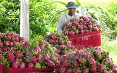 Việt Nam hướng tới xuất khẩu bền vững