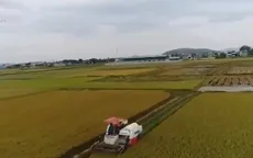 Tái diễn tình trạng bảo kê máy gặt trong ngày mùa