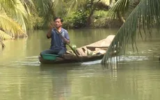 Làm giàu nhờ nuôi tôm trong vườn dừa