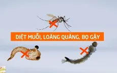 Cách phòng bệnh sốt xuất huyết hiệu quả khi bệnh vào mùa