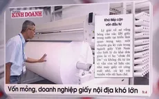 Vốn mỏng, doanh nghiệp giấy nội địa khó lớn?