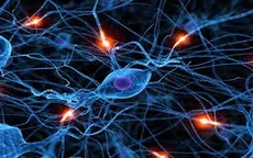 Thuốc ảo giác có thể thay đổi cấu trúc của tế bào não