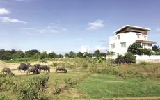 TP.HCM chuyển cơ quan điều tra làm rõ sai phạm tại dự án khu dân cư Bắc Rạch Chiếc