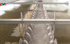 “Việc DN nước sạch tự đặt ra mức thu buộc người dân đóng là không đúng quy định”