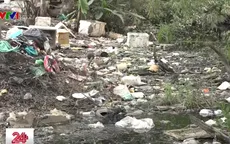 Hàng nghìn hộ nuôi cá và trồng lúa ở TP.HCM bị bủa vây bởi ô nhiễm