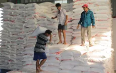 Nông dân miền Tây khốn đốn vì bán mía nhận đường
