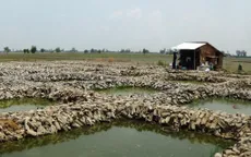 Đồng Tháp: Kiên quyết không để tiếp diễn tình trạng đào ao ngoài quy hoạch