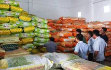 Nông dân ĐBSCL khốn khổ trước "ma trận" lúa giống giả