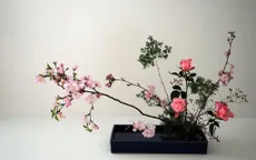 Trực tiếp Thế hệ số 10h00 (20/6): Hướng dẫn cắm hoa theo phong cách Ikebana