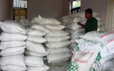 Tình hình buôn lậu qua biên giới các tỉnh Tây Nam Bộ còn phức tạp