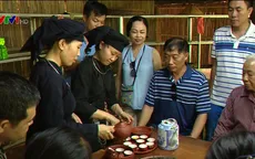 Phát triển nông nghiệp sạch gắn với du lịch