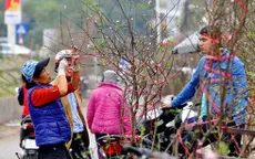 Nghỉ Tết Nguyên đán Kỷ Hợi 2019 có thể lên tới 9 ngày