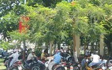 Tiếp diễn nắng nóng trên diện rộng ở khắp các tỉnh thành từ Thanh Hóa đến Ninh Thuận