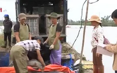 Nhiều mô hình sản xuất chưa phát huy hết tiềm năng do thiếu vốn