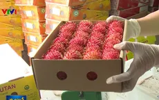Trung Quốc vẫn là thị trường nhập khẩu rau quả chính của Việt Nam