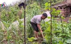 Gương cai nghiện ma túy ở một xã vùng cao Yên Bái