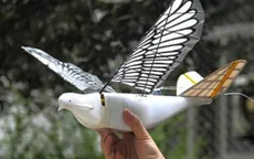 Trung Quốc sáng chế UAV chim bồ câu bịt mắt radar