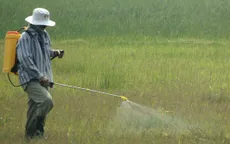 Mùa phun thuốc diệt cỏ: Mùa của những hiểm họa