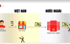 Quy trình chuỗi thanh toán điện tử xuyên biên giới trái phép