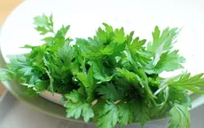 12 cách diệt và đuổi ruồi bằng cây cỏ trong tự nhiên, không độc hại