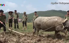 Hơn 300 sinh viên an ninh xuống đồng học cày ruộng