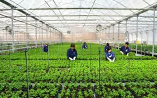 Triển vọng phát triển IoT trong nông nghiệp tại Việt Nam