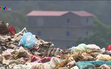 Túi nilon và hiểm họa môi trường