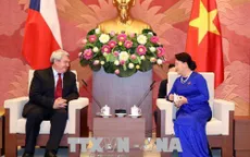 Việt Nam luôn coi trọng phát triển quan hệ với Czech