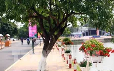 Việt Nam sẽ mở tuyến du lịch mới
