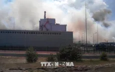 Cháy rừng gần nhà máy điện hạt nhân Chernobyl