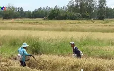 Liên tiếp xảy ra các trường hợp tử vong do dùng điện đánh cá