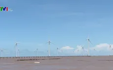 Việt Nam có đủ điều kiện để phát triển mạnh năng lượng tái tạo