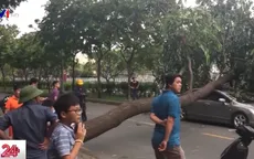 Lốc xoáy ở TP.HCM, nhiều nhà bị tốc mái, cây xanh gãy đổ