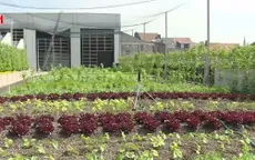 Thúc đẩy việc trồng và tiêu thụ rau sạch tại Bỉ