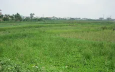 Thủ tướng đồng ý cho TP.HCM chuyển 26.000ha đất nông nghiệp