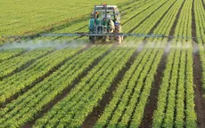 Nông dân Mỹ chật vật trước cuộc chiến thương mại