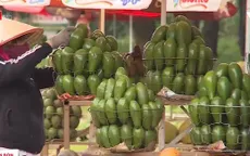 Bơ Tây Nguyên đang khẳng định giá trị