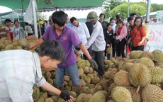 Độc đáo vựa bán sầu riêng “ăn cơm trả hạt” giá chỉ 19.000/kg