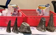 Bắt giữ nam hành khách vận chuyển trái phép 12 sừng tê giác