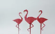 Giới thiệu vẻ đẹp nghệ thuật Origami qua triển lãm “Những đôi cánh”