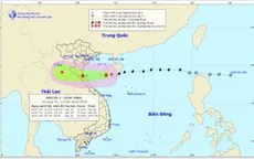 Chiều 18/7, bão giật cấp 10 ảnh hưởng trực tiếp đến các tỉnh từ Thái Bình - Hà Tĩnh
