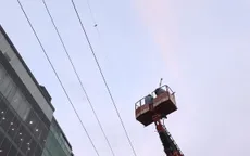 Giải cứu chim cắt lưng xám quý hiếm mắc kẹt trên đường dây điện